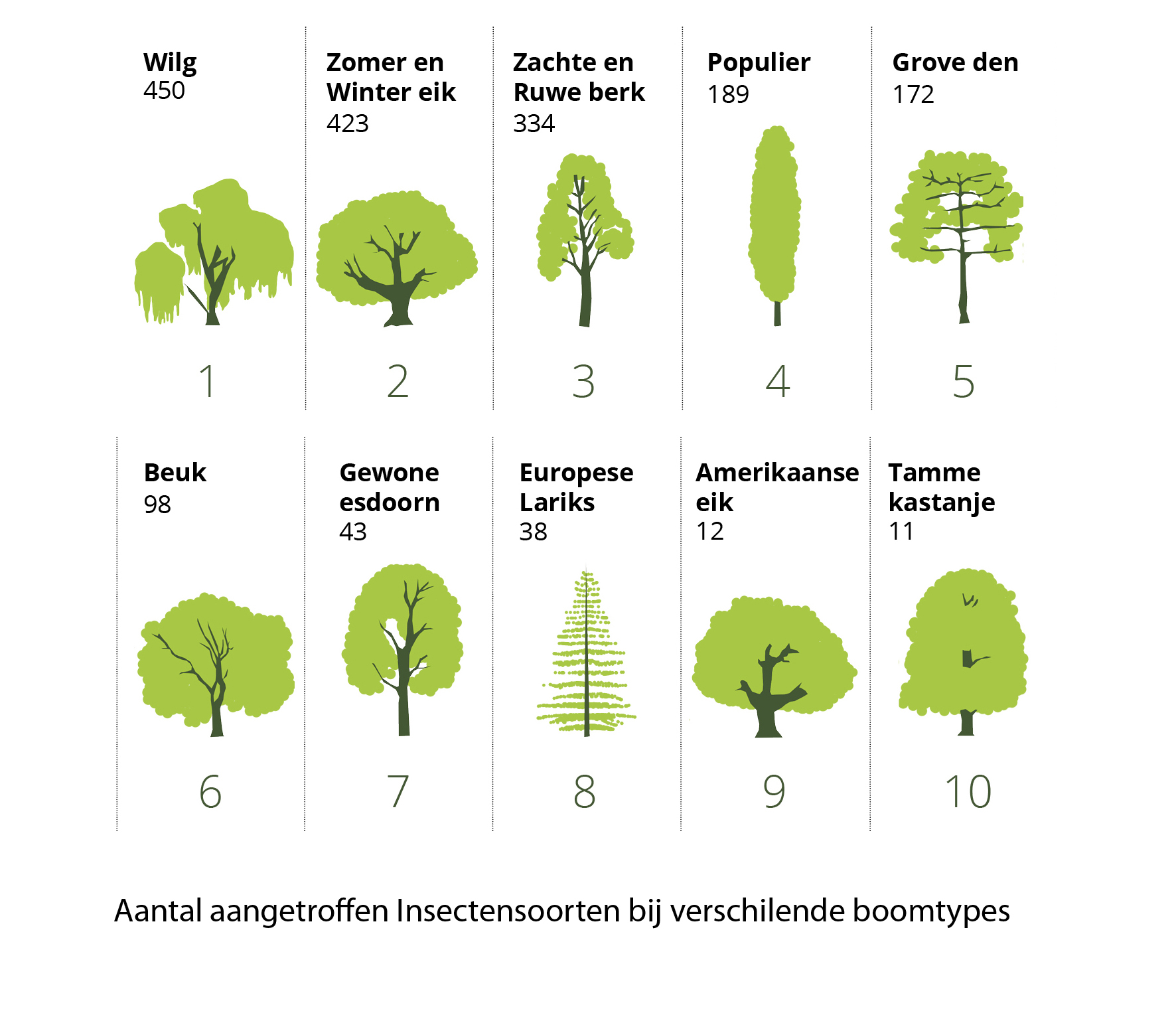 top10insectensoortenbomen