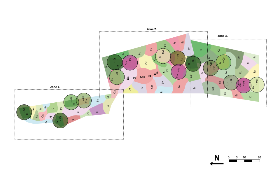 Beplantingsplan Veluwe, van schets naar hovenier